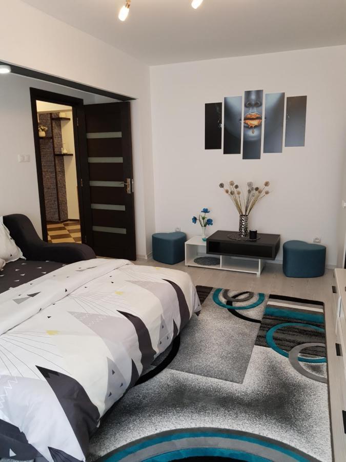 Apartament Sofy2 Băile Herculane Esterno foto