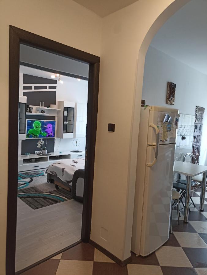 Apartament Sofy2 Băile Herculane Esterno foto