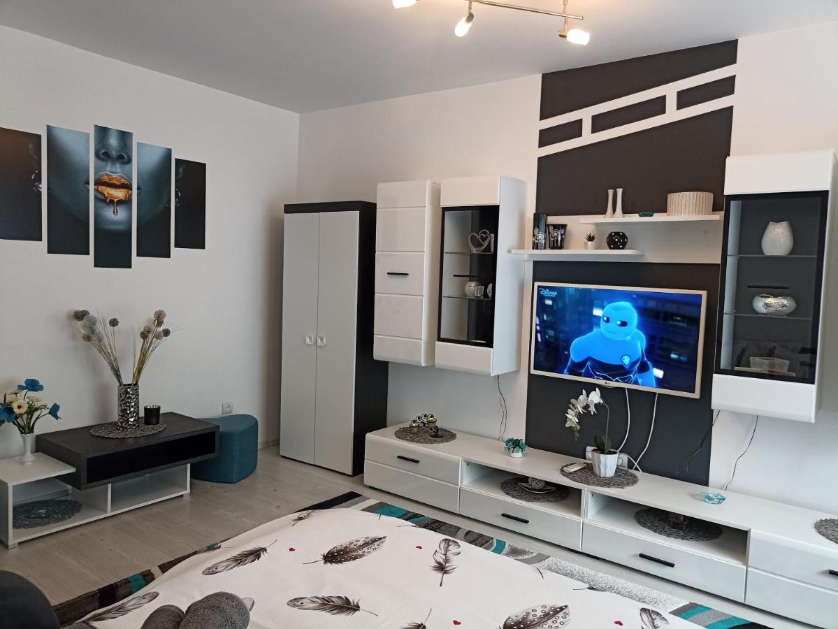 Apartament Sofy2 Băile Herculane Esterno foto