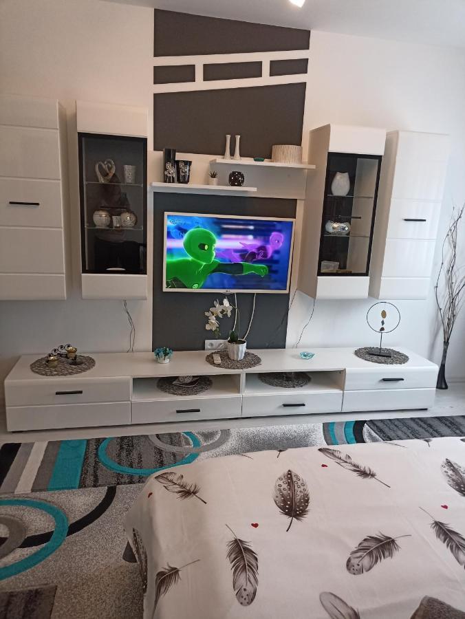 Apartament Sofy2 Băile Herculane Esterno foto
