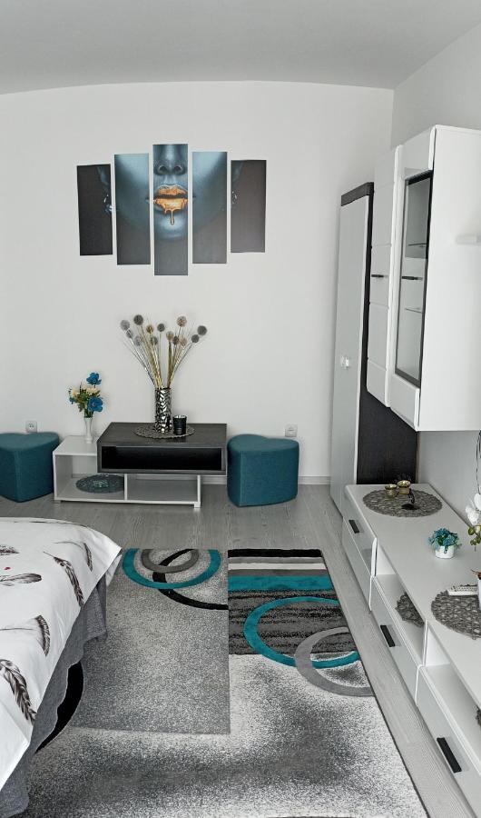 Apartament Sofy2 Băile Herculane Esterno foto
