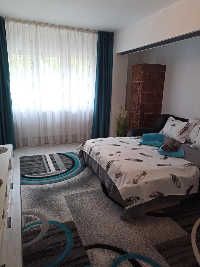 Apartament Sofy2 Băile Herculane Esterno foto