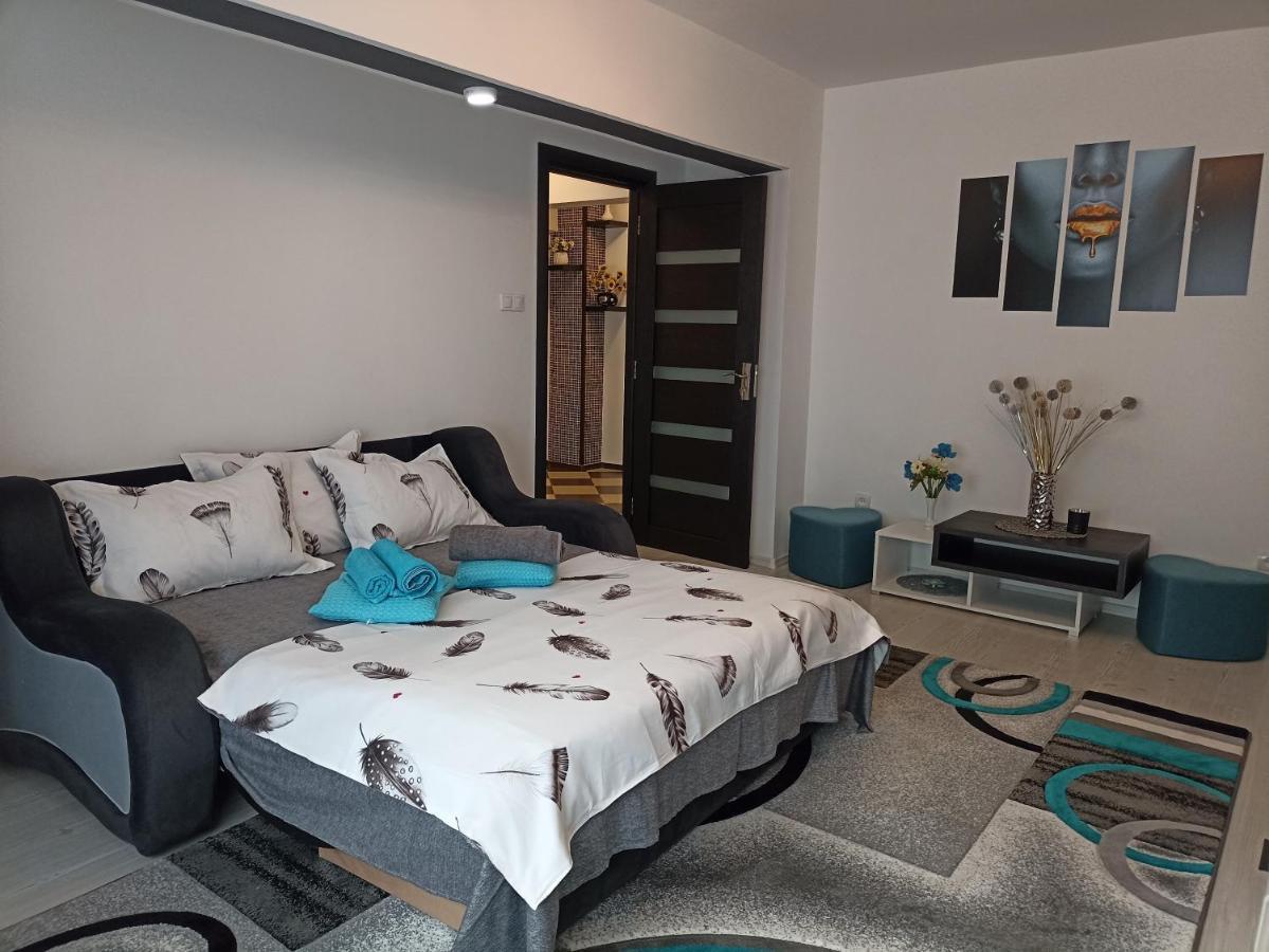 Apartament Sofy2 Băile Herculane Esterno foto