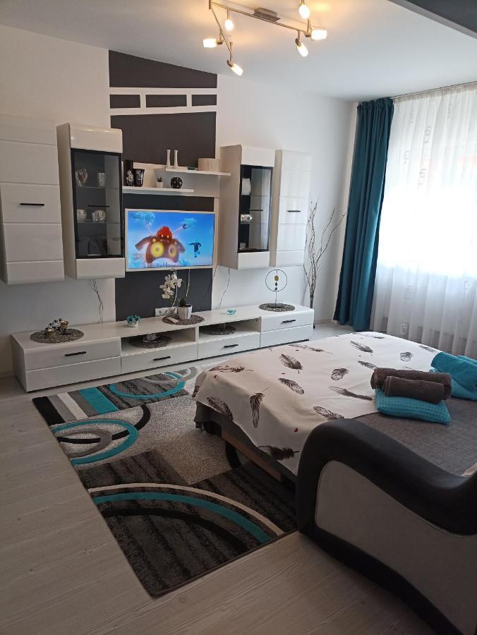 Apartament Sofy2 Băile Herculane Esterno foto